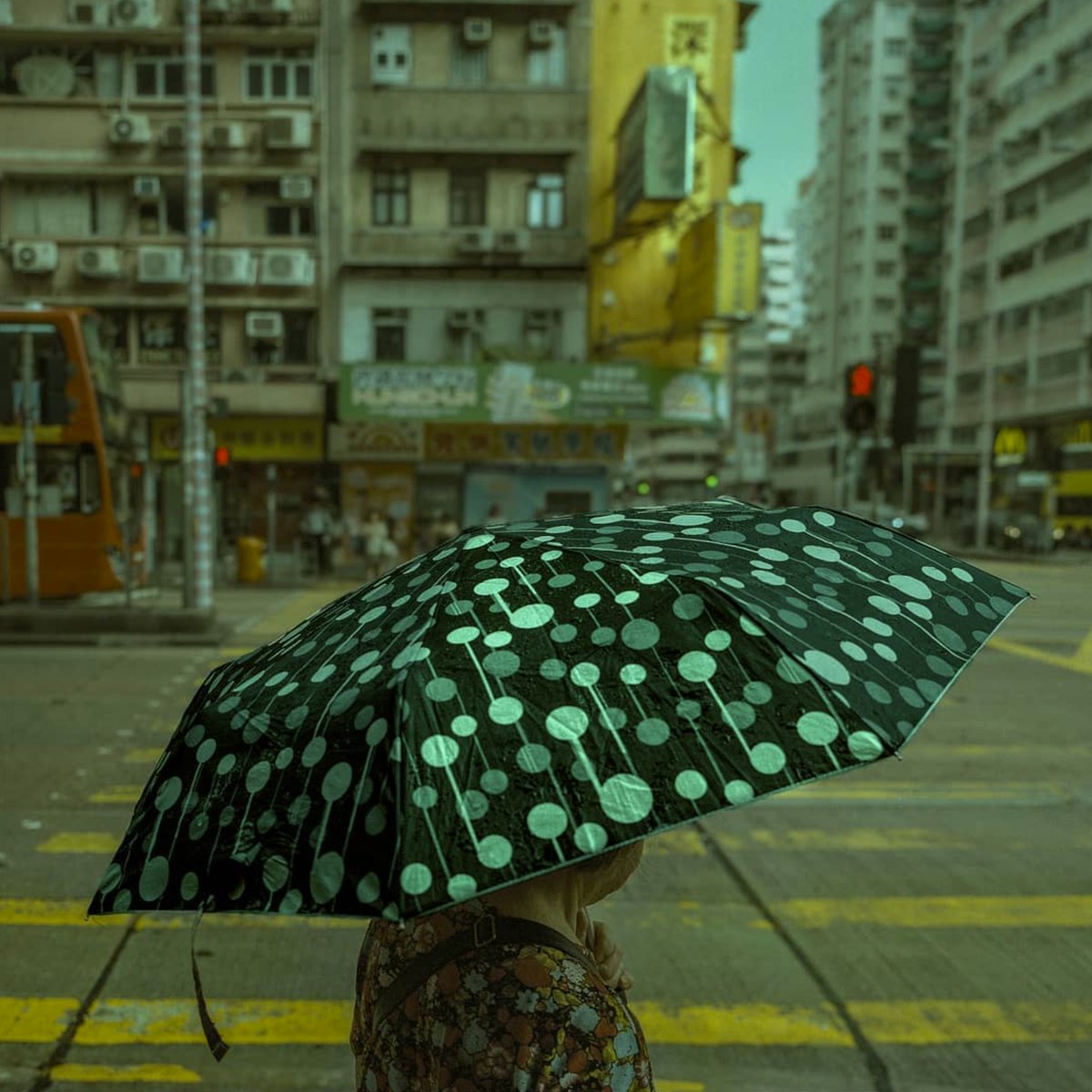 Mickey Todiwala photograph 17