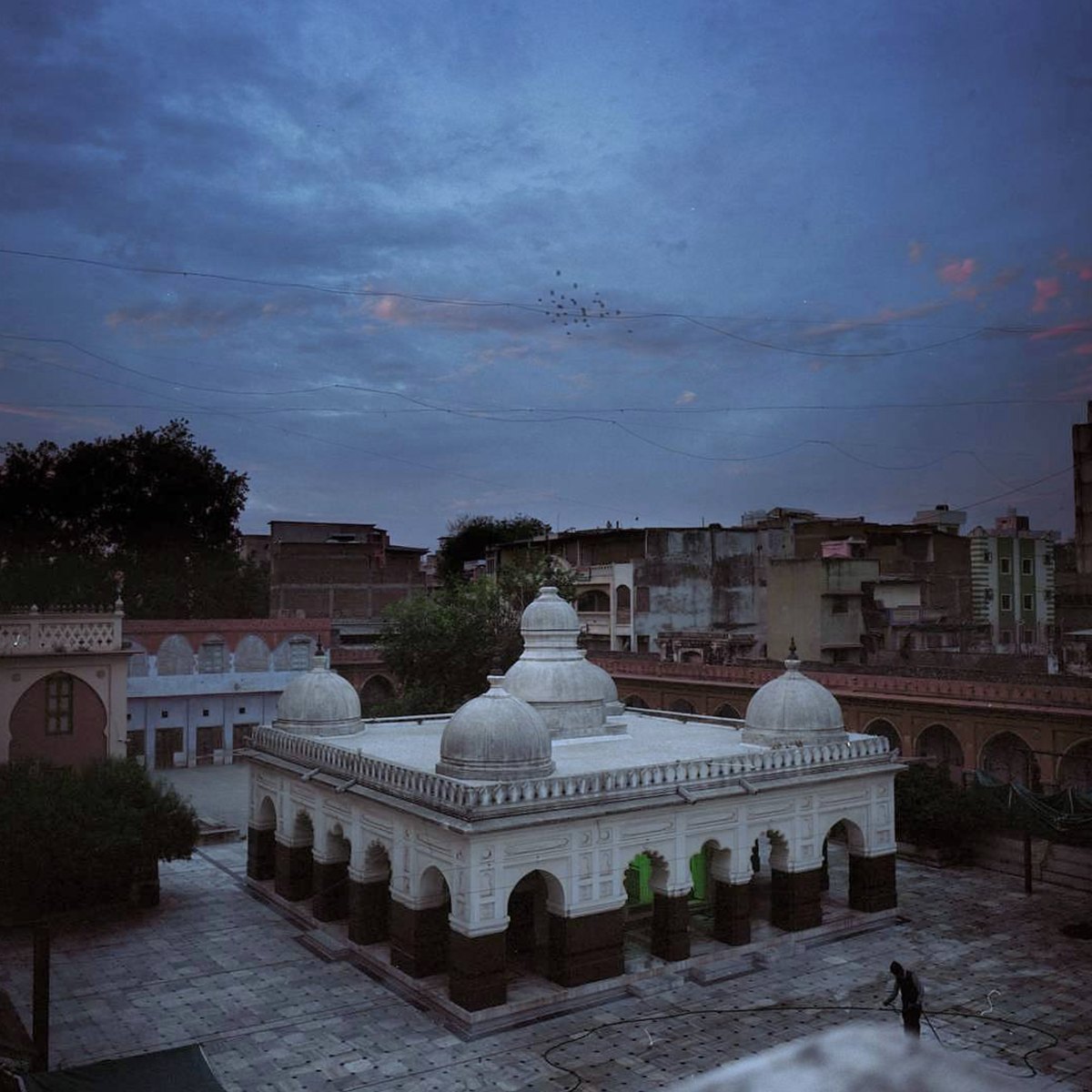 Mickey Todiwala photograph 19